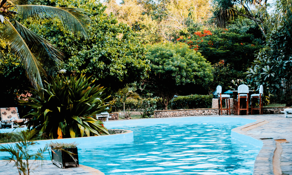7 of India’s Most Beautiful Swimming Pools to Dive Into