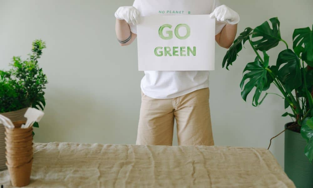 Go green! Mohit Bansal Chandigarh