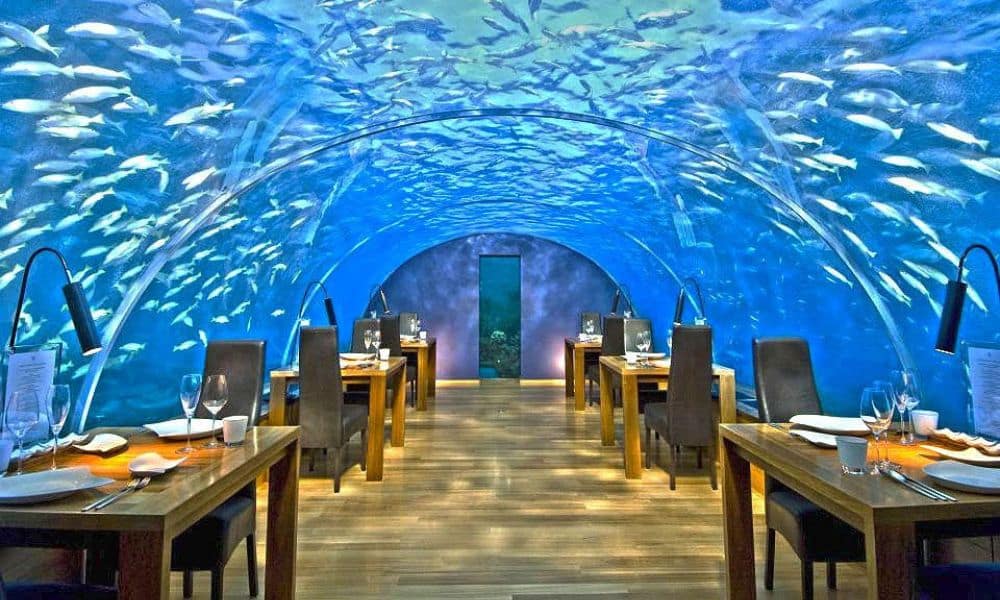 Ithaa Undersea Restaurant - Maldives Mohit Bansal Chandigarh