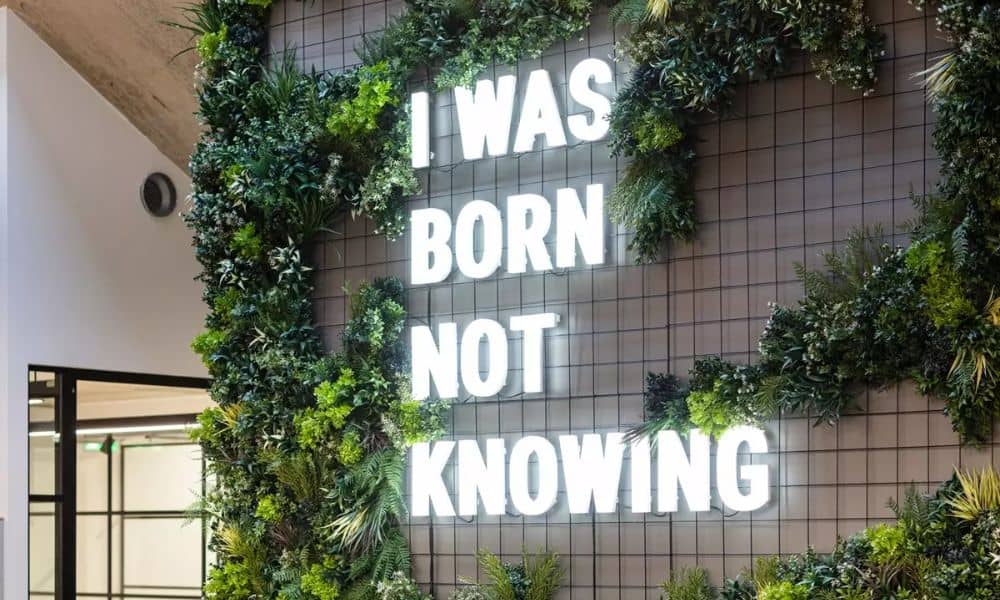 10. Green Walls Mohit Bansal Chandigarh