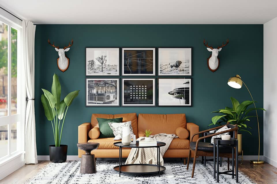 Color schemes |  Mohit Bansal Chandigarh