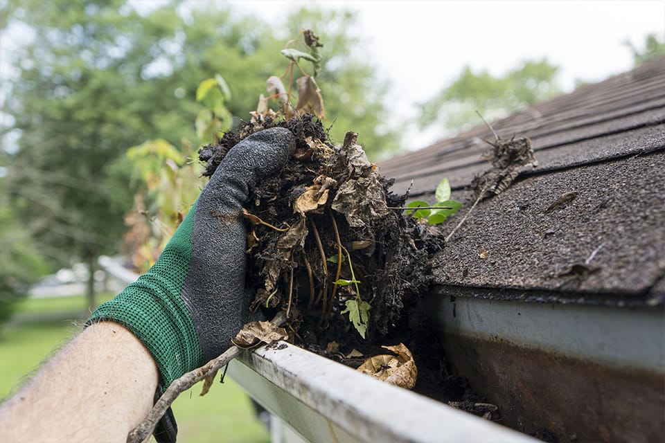 Gutter Cleaning | Mohit Bansal Chandigarh