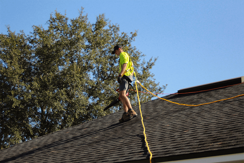 What Are Different Types Of Roofing Services For Your Home
