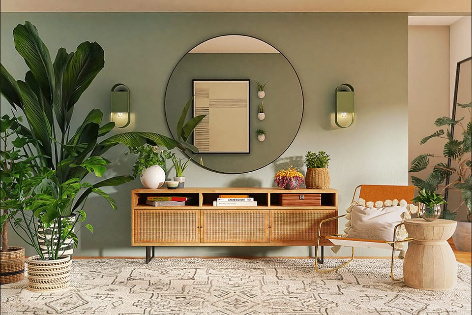 Indoor plants | Mohit Bansal Chandigarh